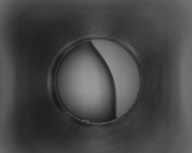 X0000100910684200806241051