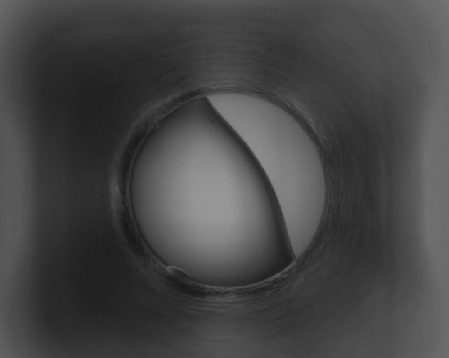 X0000100910688200806241051