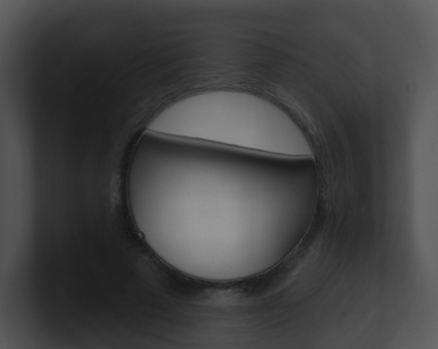 X0000100910689200806241051