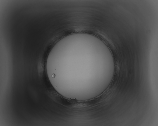 X0000100910691200806241051