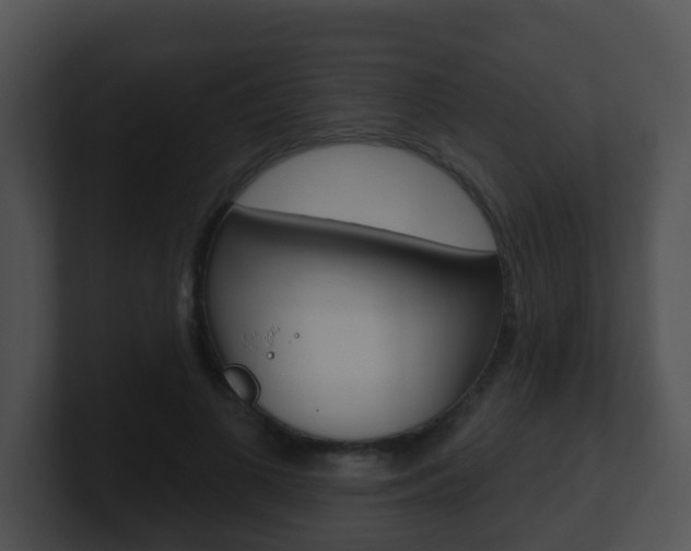 X0000100910693200806241051
