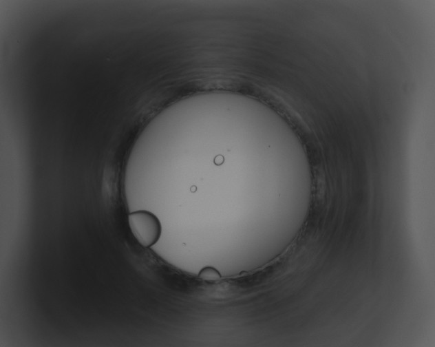 X0000100910695200806241051