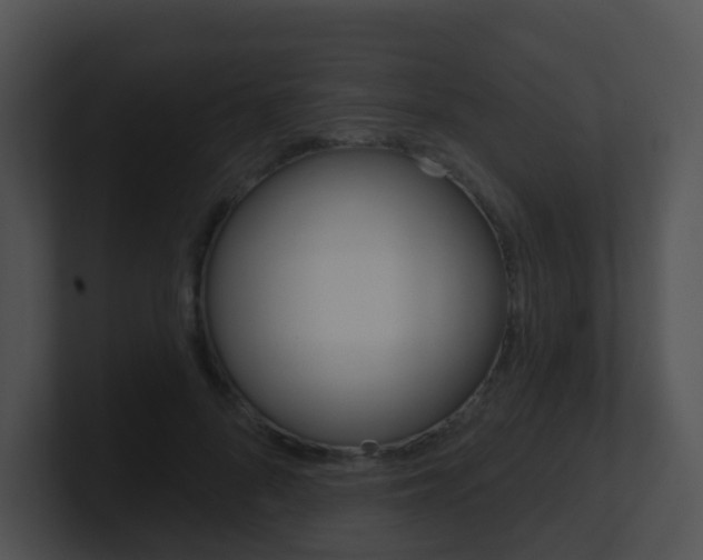 X0000100910696200806241051