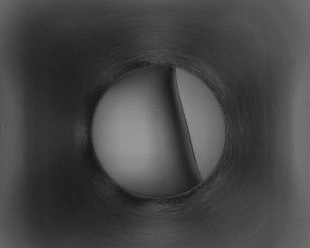 X0000100910697200806241051