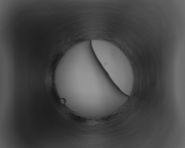 X0000100910703200806241051