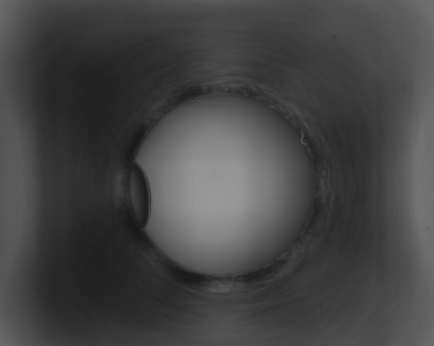 X0000100910708200806241051