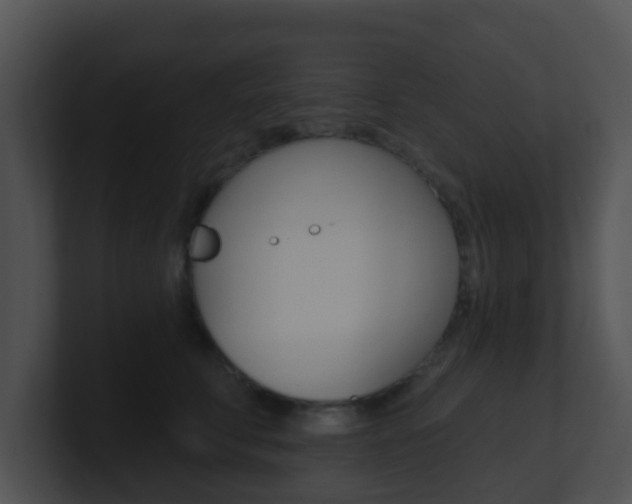 X0000100910711200806241051