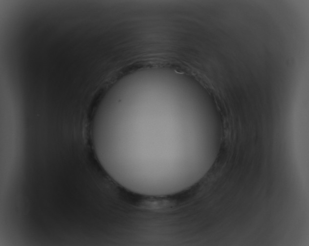 X0000100910712200806241051