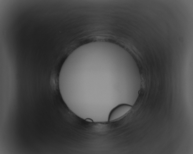 X0000100910718200806241051