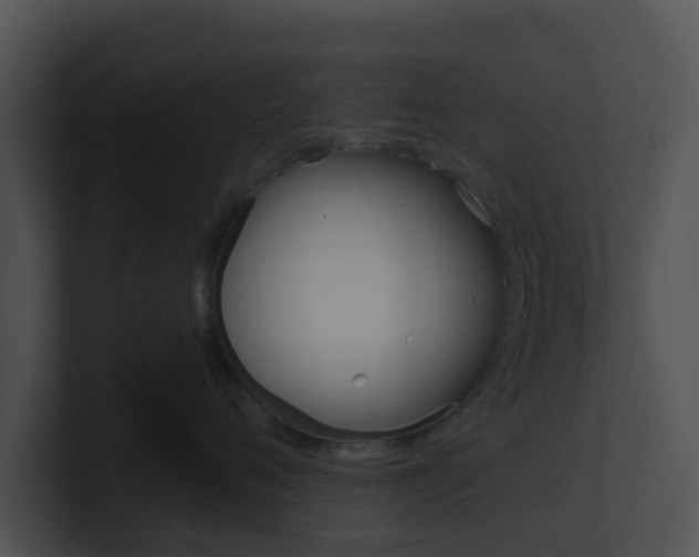 X0000100910720200806241051
