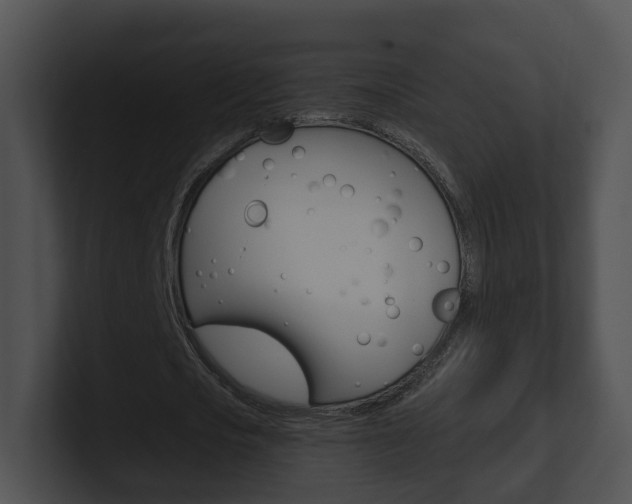 X0000100910721200806241050