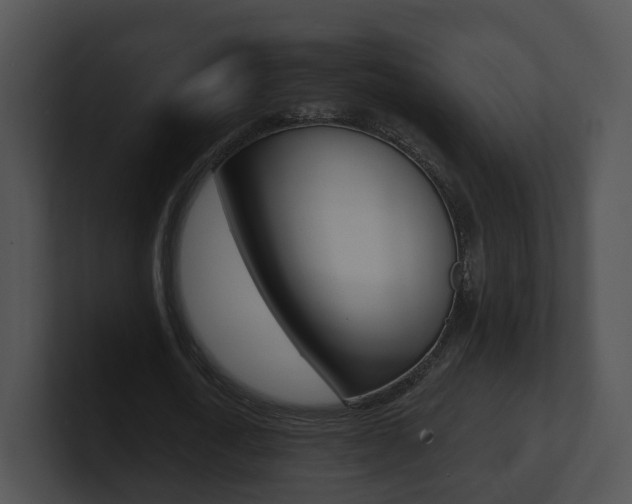 X0000100910722200806241050