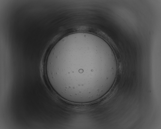 X0000100910725200806241050