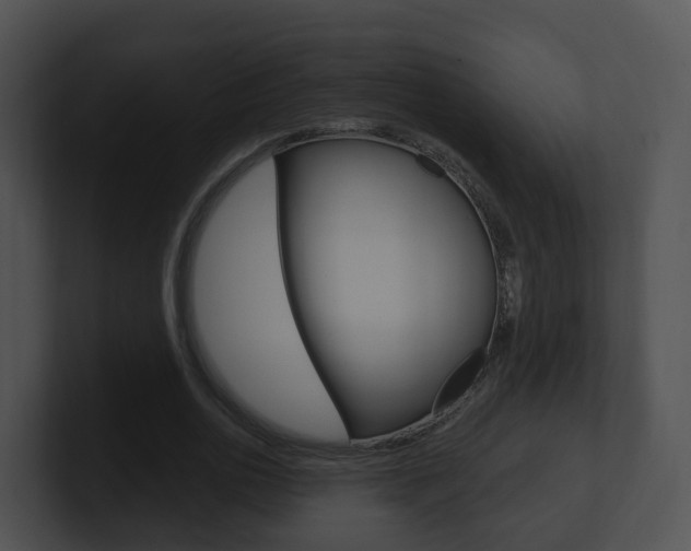 X0000100910726200806241050