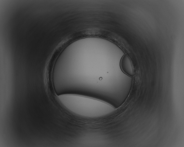 X0000100910727200806241050