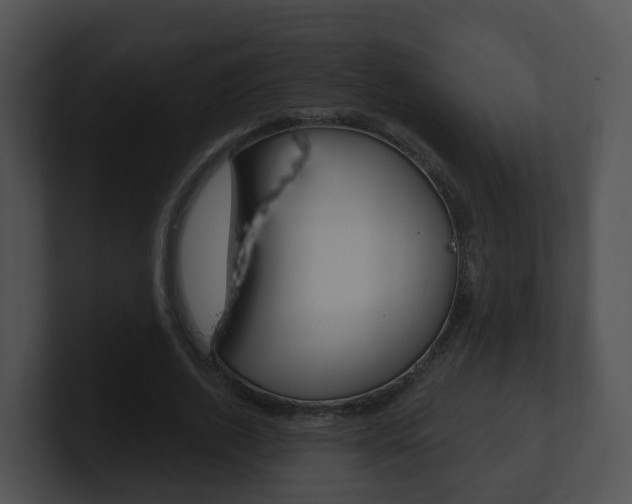 X0000100910728200806241050