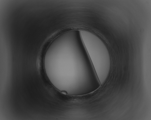 X0000100910732200806241050