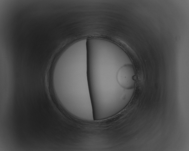 X0000100910734200806241050