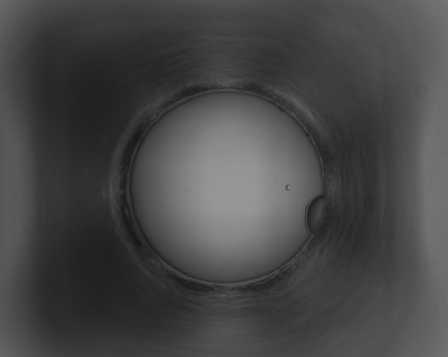 X0000100910736200806241050