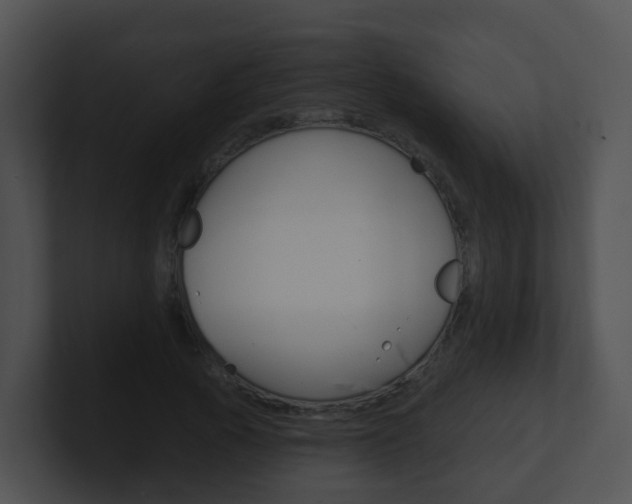 X0000100910737200806241050