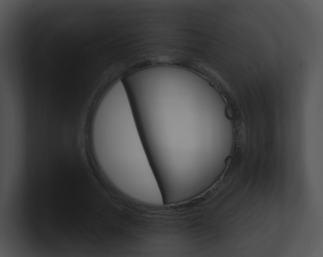 X0000100910738200806241050