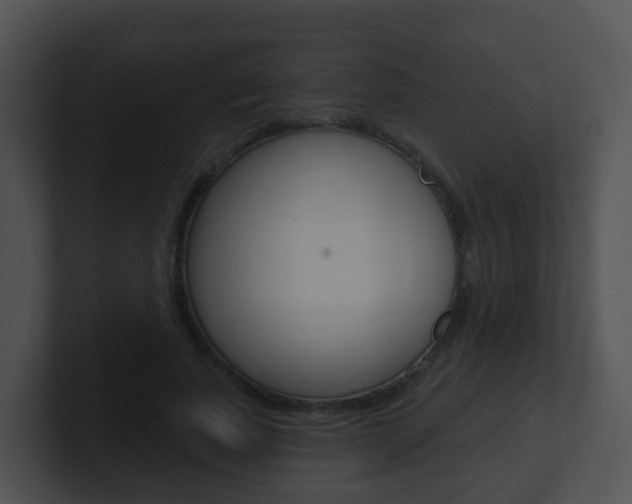 X0000100910739200806241050