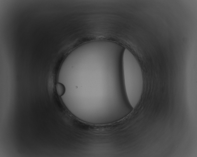 X0000100910740200806241050