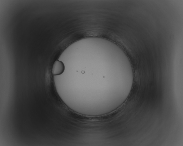 X0000100910741200806241050