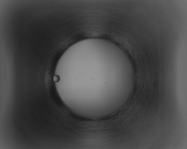 X0000100910743200806241050