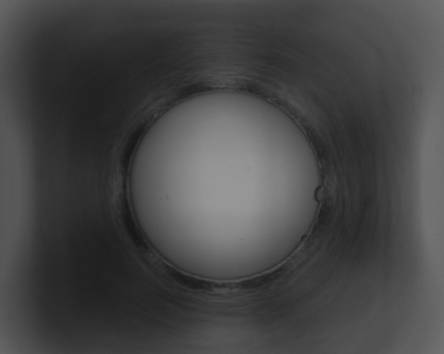 X0000100910744200806241050