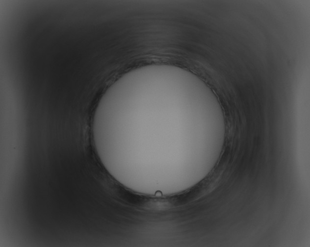 X0000100910749200806241051