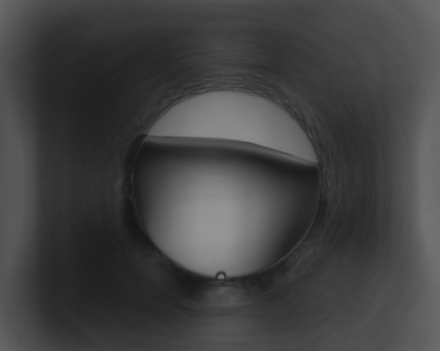 X0000100910750200806241051