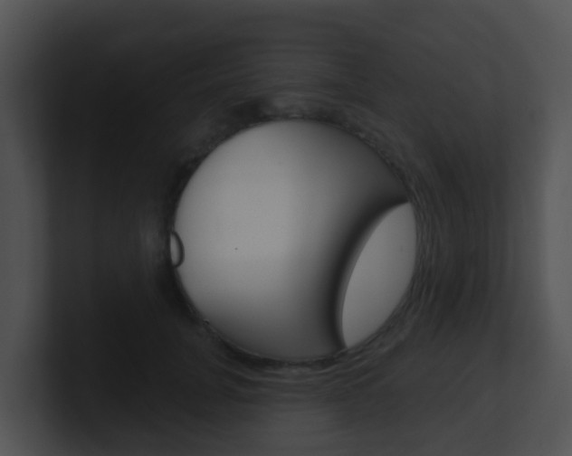 X0000100910751200806241051