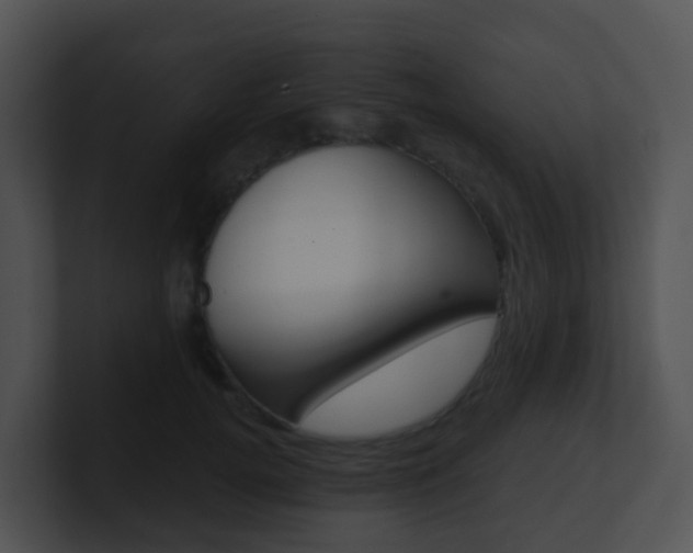 X0000100910752200806241051