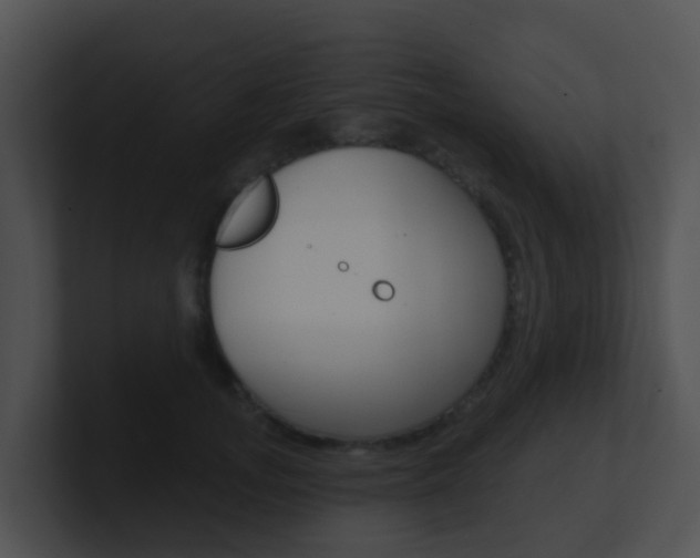 X0000100910755200806241051