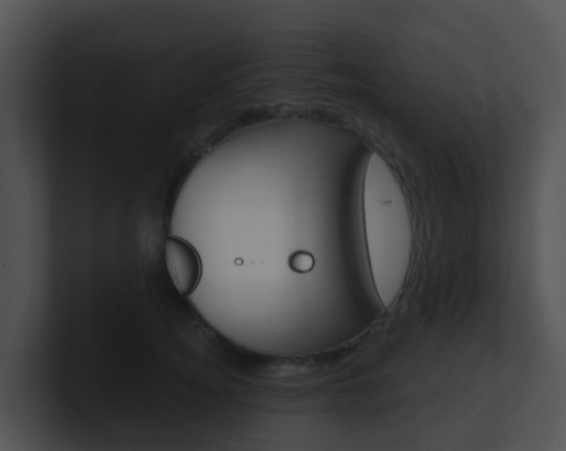 X0000100910756200806241051