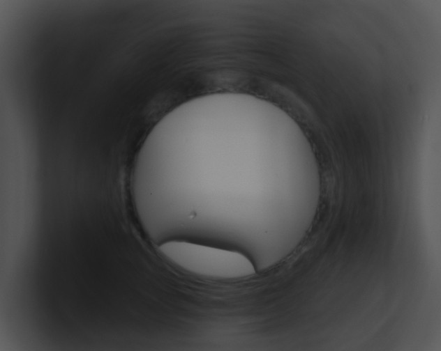 X0000100910757200806241051