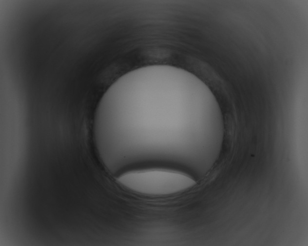 X0000100910758200806241051