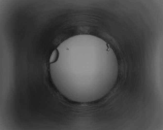 X0000100910759200806241051