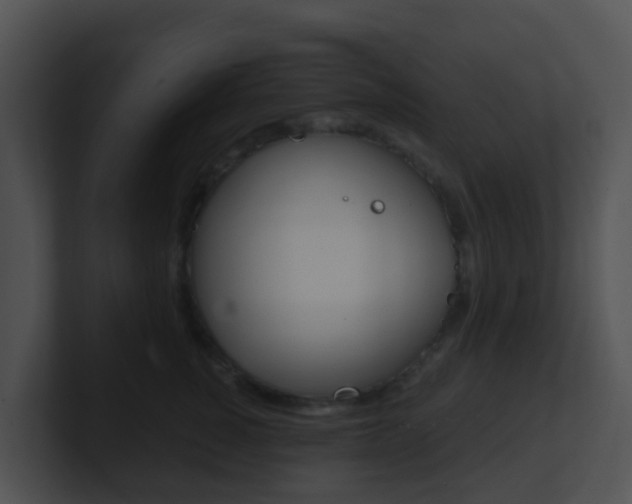 X0000100910760200806241051