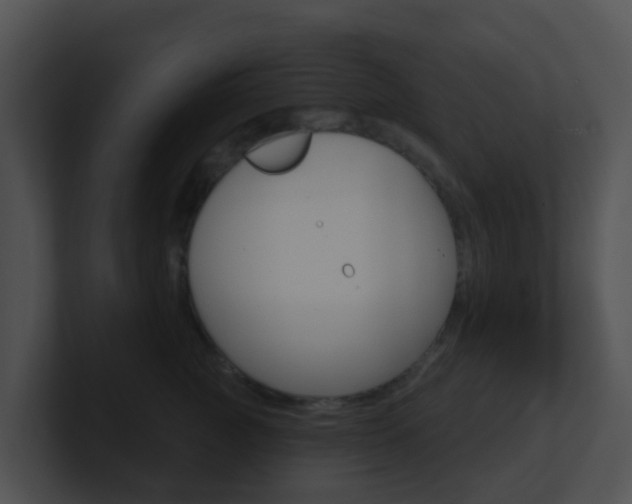 X0000100910761200806241051