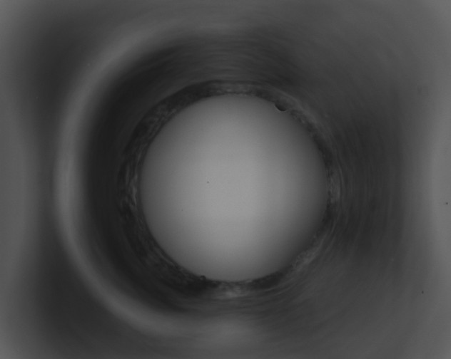 X0000100910764200806241051