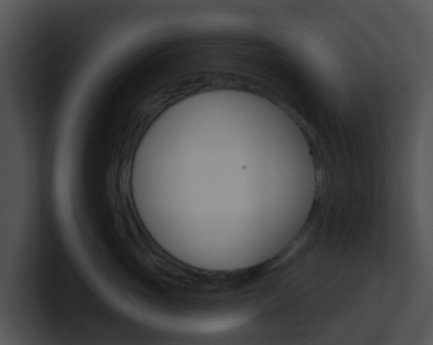 X0000100910765200806241051