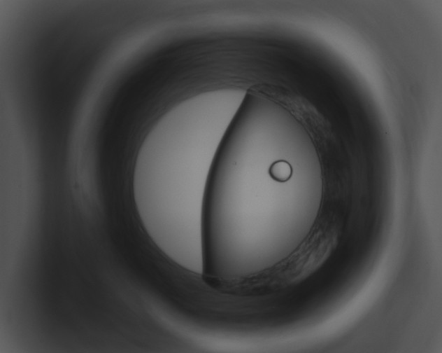 X0000100910766200806241051