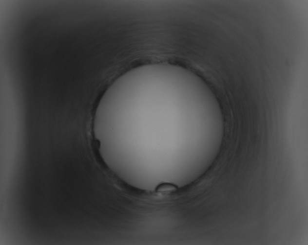 X0000100910768200806241051