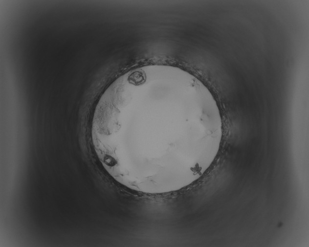 X0000100910769200806241050