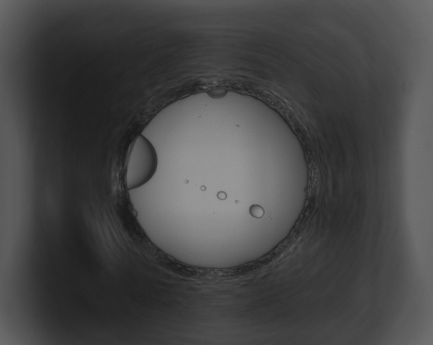 X0000100910770200806241050