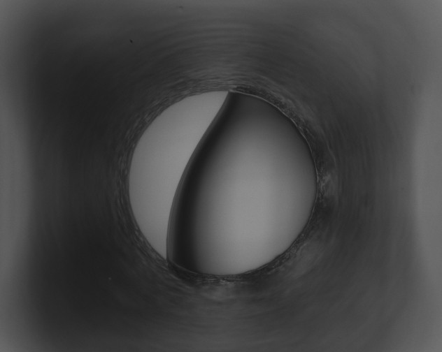 X0000100910772200806241050