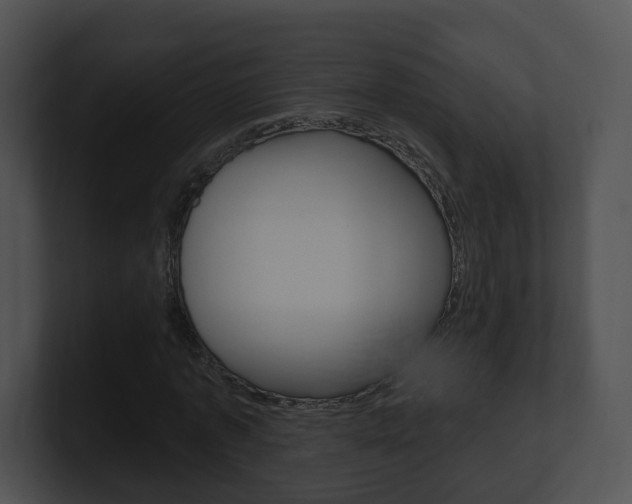 X0000100910773200806241050