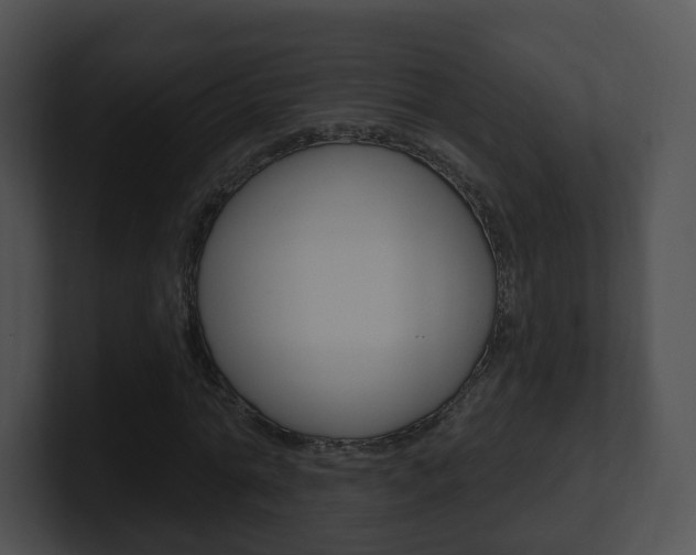 X0000100910774200806241050